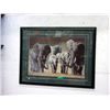 Image 1 : Very Large Framed Print of Elephants