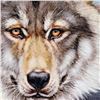 Image 2 : "Wolf" Limited Edition Giclee on Canvas by Martin Katon, Numbered and Hand Signed with Certificate o