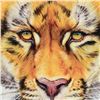 Image 2 : "Tiger Surprise" Limited Edition Giclee on Canvas by Martin Katon, Numbered and Hand Signed with Cer