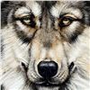 Image 2 : "Wonderful Wolf" Limited Edition Giclee on Canvas by Martin Katon, Numbered and Hand Signed with Cer