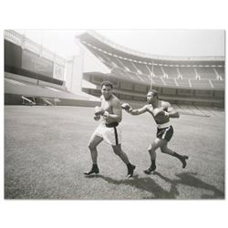 Licensed Photograph (40" x 30") of the Heavyweight Champs Muhammad Ali and Ken Norton.