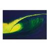 Image 1 : Wyland, "Green Room" Original Oil Painting on Board, Hand Signed with Certificate of Authenticity.