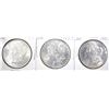 Image 1 : 3 MORGAN DOLLARS CH BU