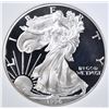 Image 2 : 1996-P SILVER EAGLE, TDCS PERFECT GEM PR DCAM