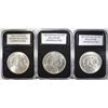 Image 2 : LOT OF 3 UNCIRCULATED MORGANS: