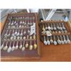 Image 1 : LOT OF COLLECTOR SPOONS (ONE DISPLAY CASE AND ONE HANGING BOARD)