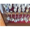 Image 8 : LOT OF COLLECTOR SPOONS (ONE DISPLAY CASE AND ONE HANGING BOARD)