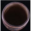 Image 21 : Nampeyo of Hano (1859-1942) Hopi Pottery