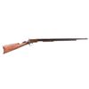 Image 1 : Winchester Model 1890 Gallery Gun c. 1905