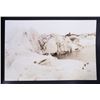 Image 28 : Lomen Bros. ca 1906-1916 Eskimo Alaska Photo Album