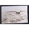Image 45 : Lomen Bros. ca 1906-1916 Eskimo Alaska Photo Album