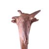 Image 12 : Penobscot Animal Effigy War Club c. 1900-