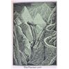 Image 10 : 1966 The Hobbit Collectors Edition By Tolkien
