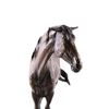 Image 10 : Original Navajo Cayuse Bronze by Lyle E. Johnson