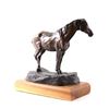 Image 11 : Original Navajo Cayuse Bronze by Lyle E. Johnson