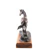 Image 14 : Original Navajo Cayuse Bronze by Lyle E. Johnson