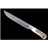 Image 1 : M.T. Stag Horn Trout Fillet Bowie Damascus Knife