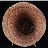 Image 8 : Apache Burden Basket with Jingle Cones c. 1950's