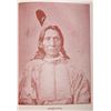 Image 10 : Sitting Bull and the Indian War 1st Edition 1891