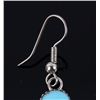 Image 3 : Navajo Sleeping Beauty Turquoise Earrings