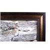 Image 2 : Original Yellowstone Squirrel Signed Framed Photo