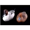 Image 2 : Pintail Drake & Hen Carved Decoy by Justin Hogan