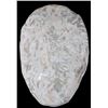 Image 2 : Pre-Historic Stone Encased Trilobite Fossils