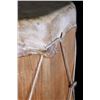 Image 7 : Northern Plains Buffalo Rawhide Trade Drum