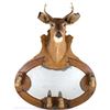 Image 1 : Vincent R Aaron Taxidermy Deer Mount Mirror & Rack