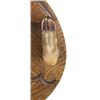 Image 8 : Vincent R Aaron Taxidermy Deer Mount Mirror & Rack