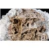 Image 8 : White Crystal Geode Formation Specimens