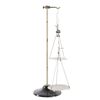 Image 3 : Welch Balance Scale and Brass Weights