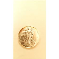 2013 1 OZ... Sliver Eagle