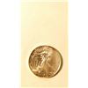 Image 1 : 2013 1 OZ... Sliver Eagle