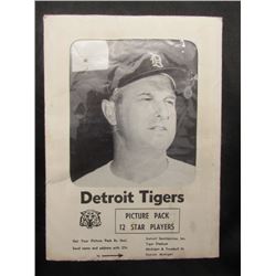 DETROIT TIGERS JAY PUBLISHING PICTURE PACK