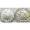 Image 1 : 1988 & 2005 AMERICAN SILVER EAGLES