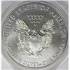 Image 2 : 2012-W BURNISHED AMERICAN SILVER EAGLE