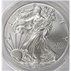 Image 1 : 2013-W BURNISHED AMERICAN SILVER EAGLE