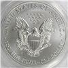 Image 2 : 2013-W BURNISHED AMERICAN SILVER EAGLE