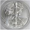 Image 1 : 2014-W BURNISHED AMERICAN SILVER EAGLE