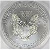 Image 2 : 2014-W BURNISHED AMERICAN SILVER EAGLE