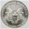Image 2 : 1990 AMERICAN SIVLER EAGLE