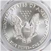 Image 2 : 2016 AMERICAN SILVER EAGLE