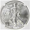 Image 1 : 2012-W AMERICAN SILVER EAGLE