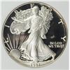 Image 1 : 1987-S AMERICAN SILVER EAGLE