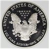 Image 2 : 2000-P AMERICAN SILVER EAGLE