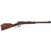 Image 1 : HENRY VARMINT EXPRESS 17HMR 20"