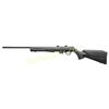 Image 1 : ROSSI RB17 17HMR 21" 5RD BLK