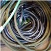 Image 2 : LOT OF GARDEN HOSE