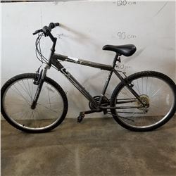 GREY ARASHI BIKE